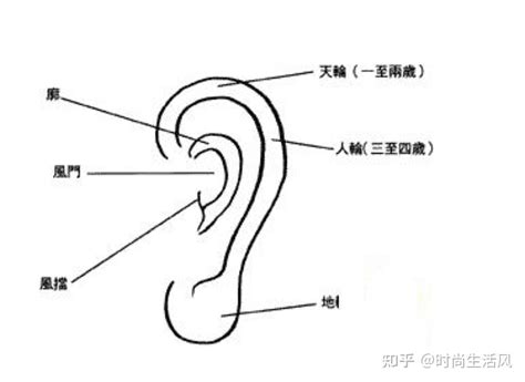 右耳廓有痣